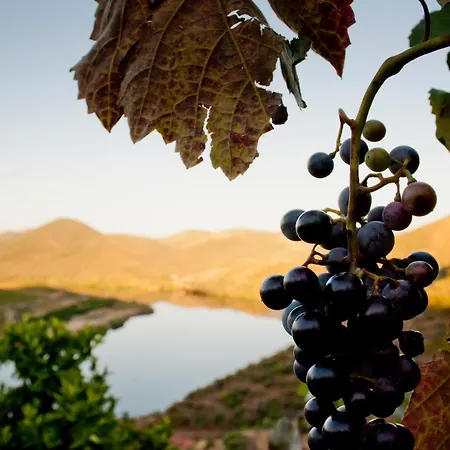 Vakantieboerderij Auri