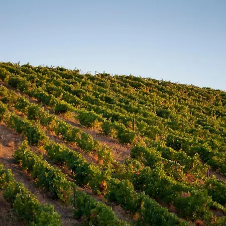 Auri ファームステイ ヴィラ・ノーヴァ・デ・フォス・コア