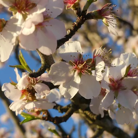 Vakantieboerderij Auri