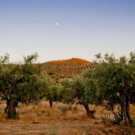 Auri Vila Nova de Foz Coa