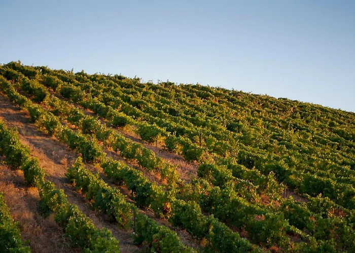 Auri Çiftlik konaklama Vila Nova de Fozcoa