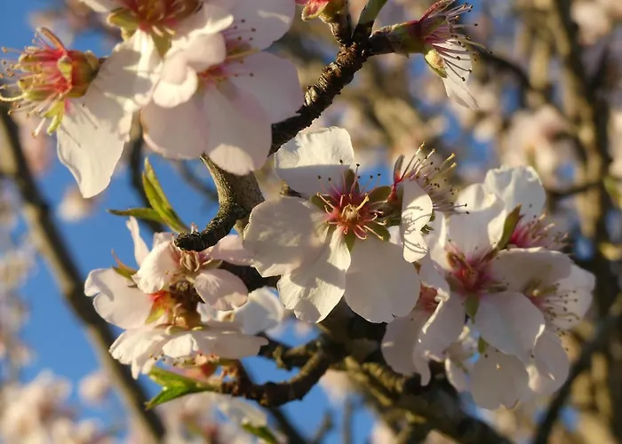 Çiftlik konaklama Auri